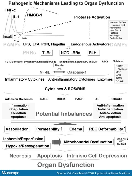 ccm585997.fig3