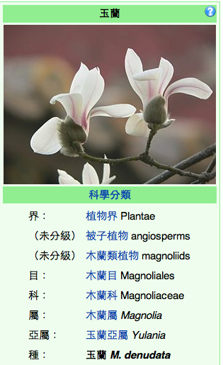 玉蘭