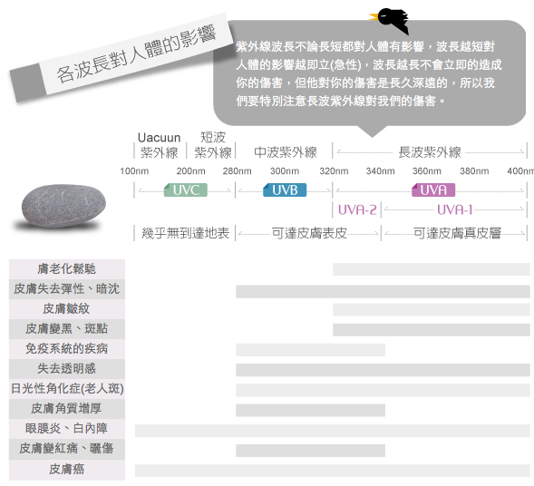 螢幕快照 2012-05-28 上午8.20.57