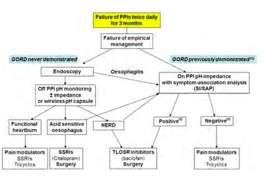 Algorithm for management of patients with refractory reflux symptoms