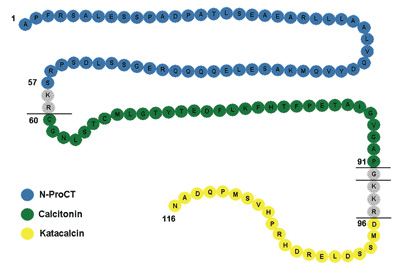 Procalcitonin-fig-1