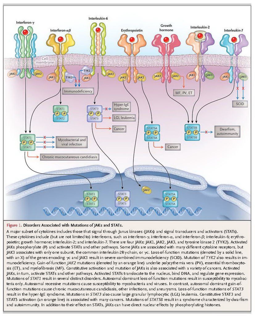 nejmra1202117_頁面_02