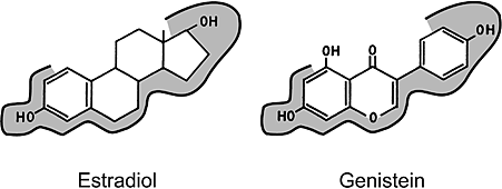 genistein