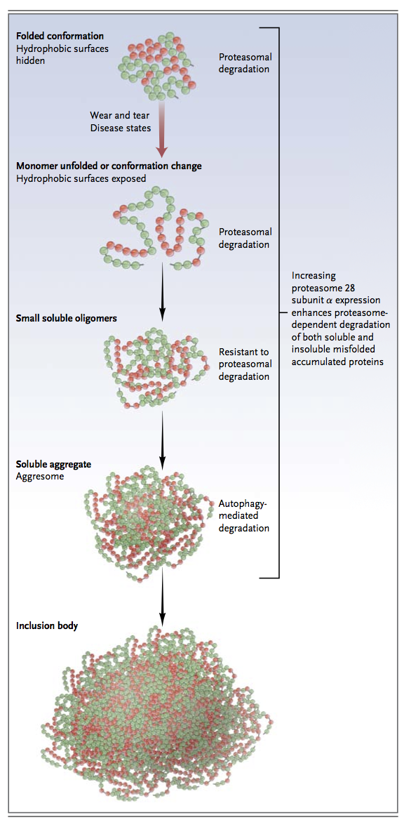 nejmra1106180-3