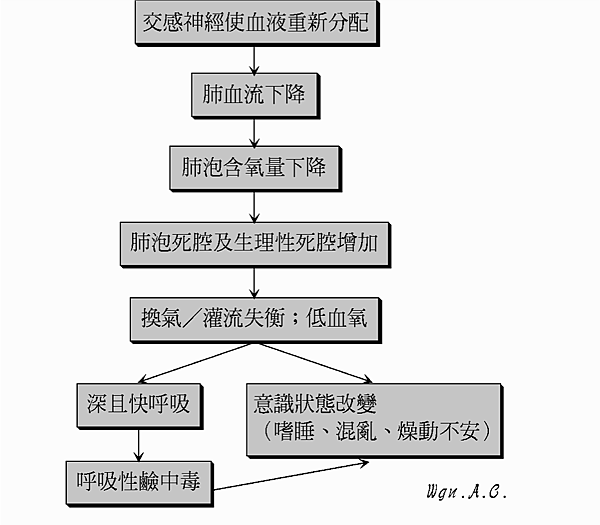 化學性代償