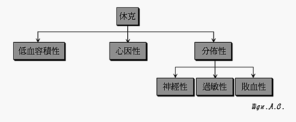 休克種類