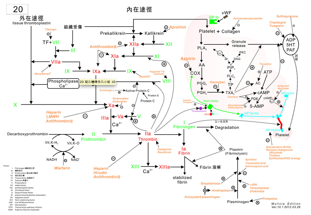 螢幕快照 2013-05-31 上午1.26.19