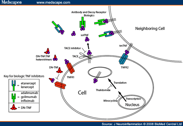 golimumab