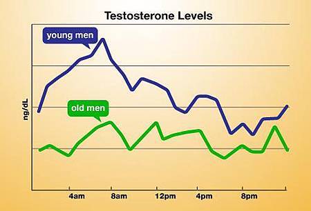 webmd_chart_of_daily_testosterone_levels.jpg