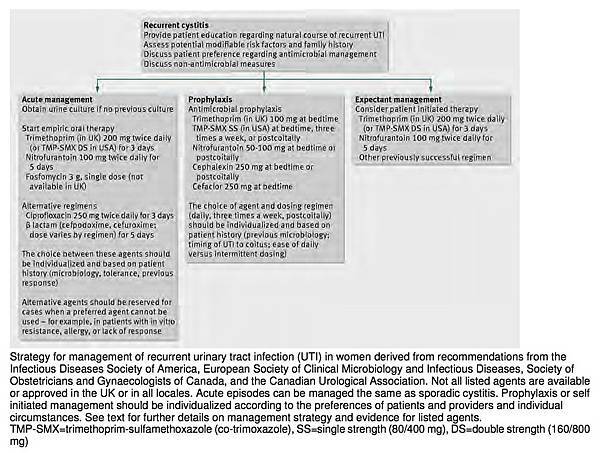 Diagnosis and management of recurrent urinary tract infections in non-pregnant women.jpg