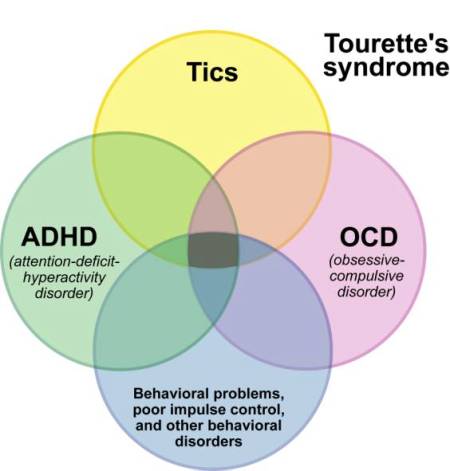 tourettes