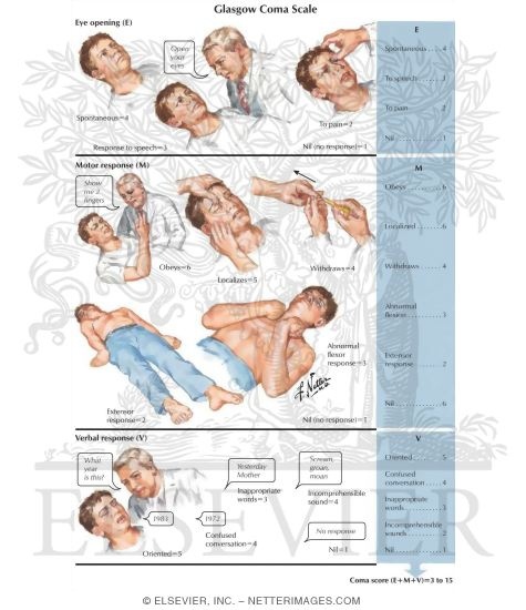 The Glasgow Coma Scale