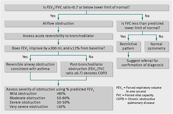 guide for interpretation of spirometry