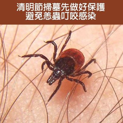 562069_560856840625112_1462253551_n.jpg 562069_560856840625112_1462253551_n.jpg