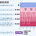 dia-sleep cycle.png