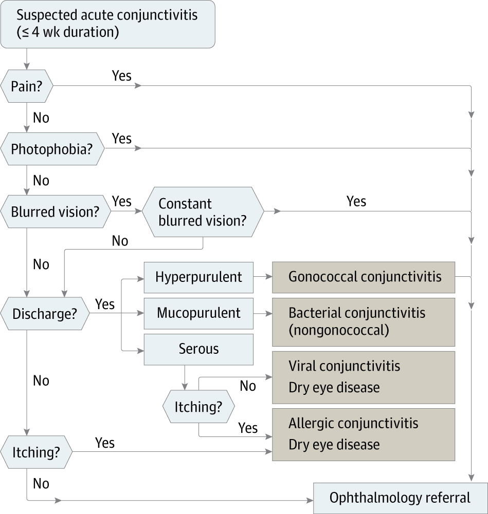 Jama Conjunctivitis 結膜炎 快樂小藥師 Im Pharmacist Nichts As Red Eye The Diffeial Diagnosis Of And Knowledge About Typical Features Each Disease In This Category Are Important Table 1