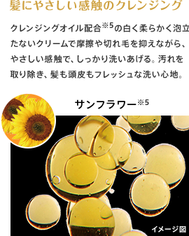 txt_component_1.png