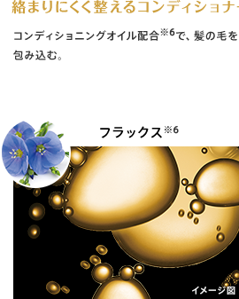 txt_component_2.png