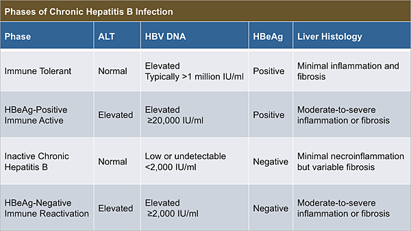 phases-chronic-hbv-infection.jpg.png