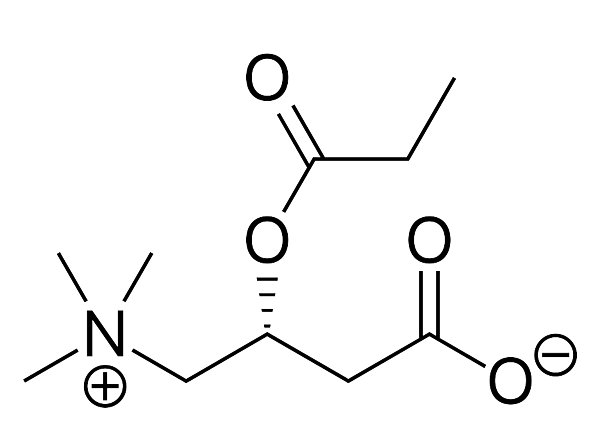 936px-Glycine_propionyl-L-carnitine.svg.png