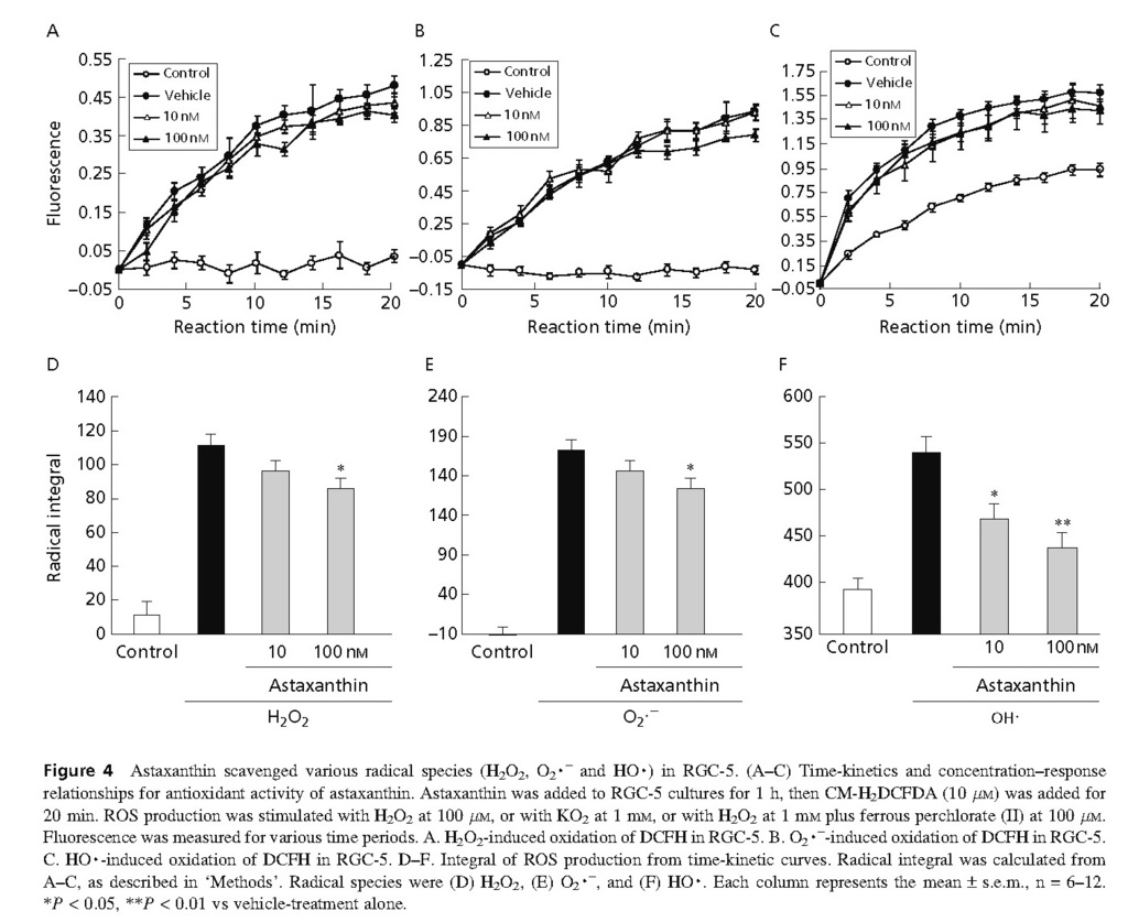 Astaxanthin, a dietary carotenoid, protects retinal cells against oxidative stress in-vitro and in mice in-vivo_頁面_06.jpg Astaxanthin, a dietary carotenoid, protects retinal cells against oxidative stress in-vitro and in mice in-vivo_頁面_06.jpg