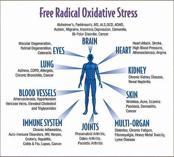 free_radical_oxidative_stress.jpg free_radical_oxidative_stress.jpg