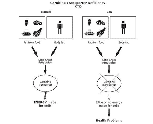 CTD-graphic.gif