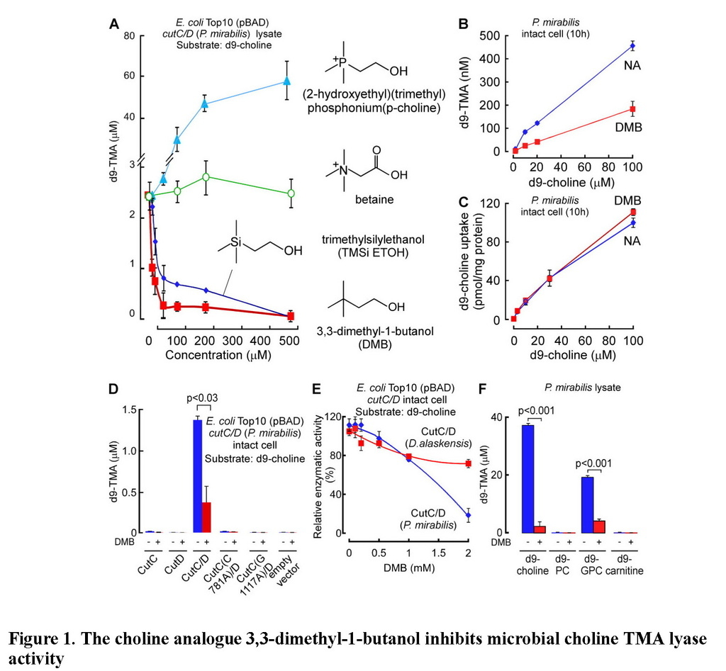 Non-lethal inhibition of gut microbial trimethylamine production for the treatment of atherosclerosis_頁面_16.jpg Non-lethal inhibition of gut microbial trimethylamine production for the treatment of atherosclerosis_頁面_16.jpg