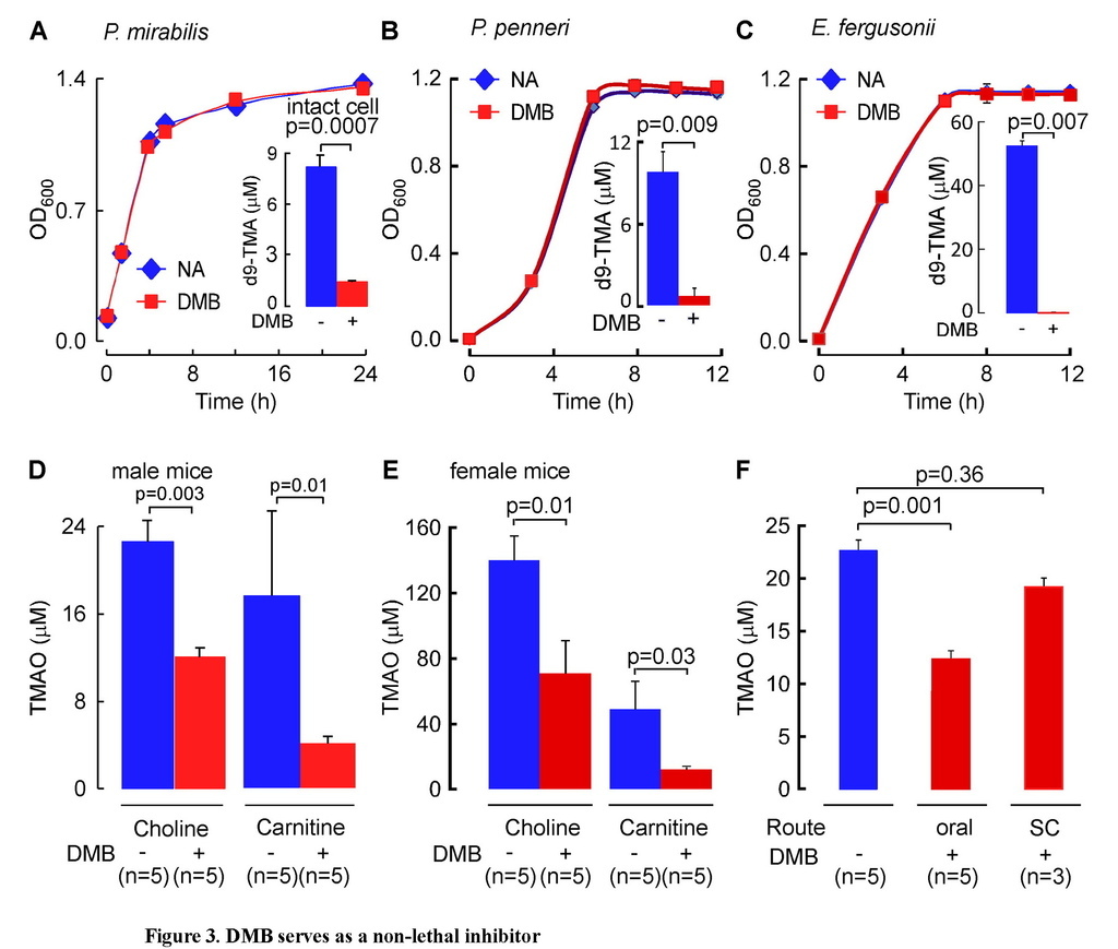 Non-lethal inhibition of gut microbial trimethylamine production for the treatment of atherosclerosis_頁面_18.jpg Non-lethal inhibition of gut microbial trimethylamine production for the treatment of atherosclerosis_頁面_18.jpg