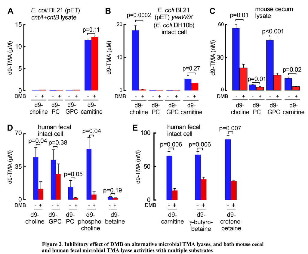 Non-lethal inhibition of gut microbial trimethylamine production for the treatment of atherosclerosis_頁面_17.jpg Non-lethal inhibition of gut microbial trimethylamine production for the treatment of atherosclerosis_頁面_17.jpg