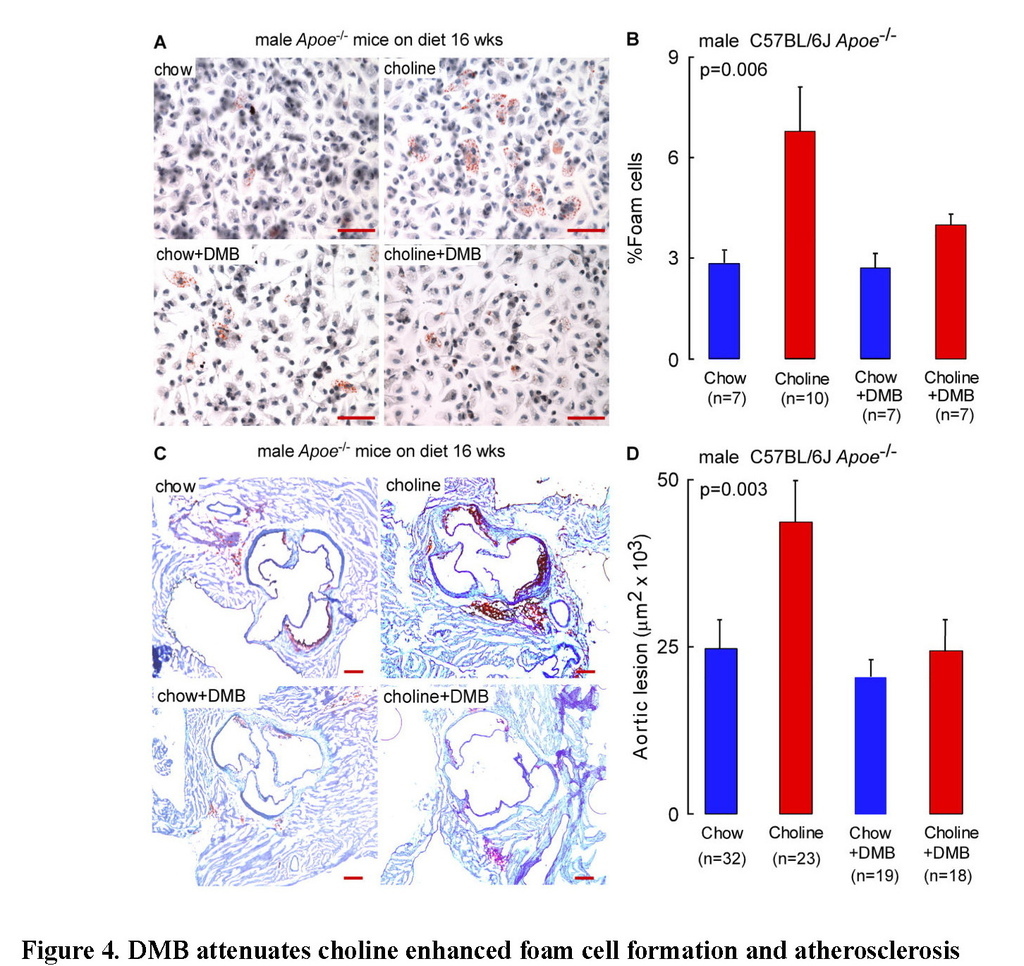 Non-lethal inhibition of gut microbial trimethylamine production for the treatment of atherosclerosis_頁面_19.jpg Non-lethal inhibition of gut microbial trimethylamine production for the treatment of atherosclerosis_頁面_19.jpg