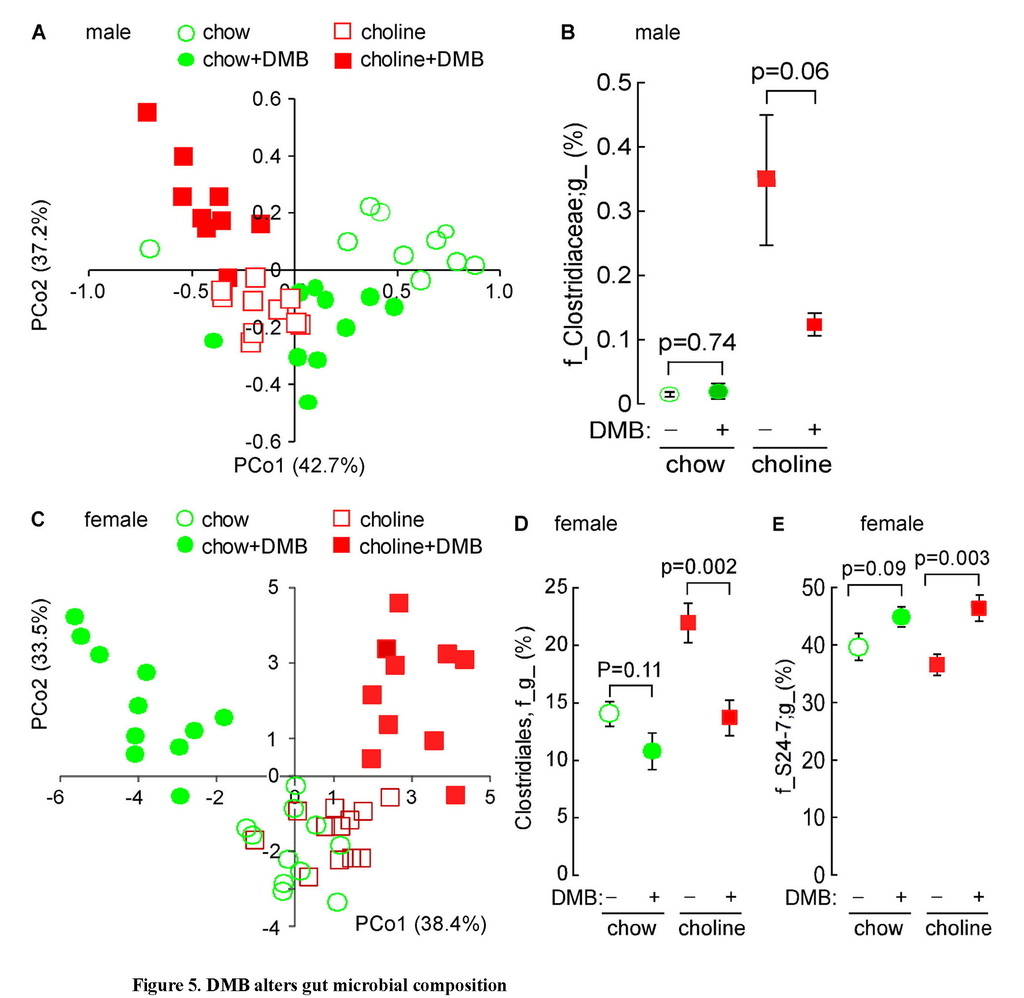Non-lethal inhibition of gut microbial trimethylamine production for the treatment of atherosclerosis_頁面_20.jpg Non-lethal inhibition of gut microbial trimethylamine production for the treatment of atherosclerosis_頁面_20.jpg