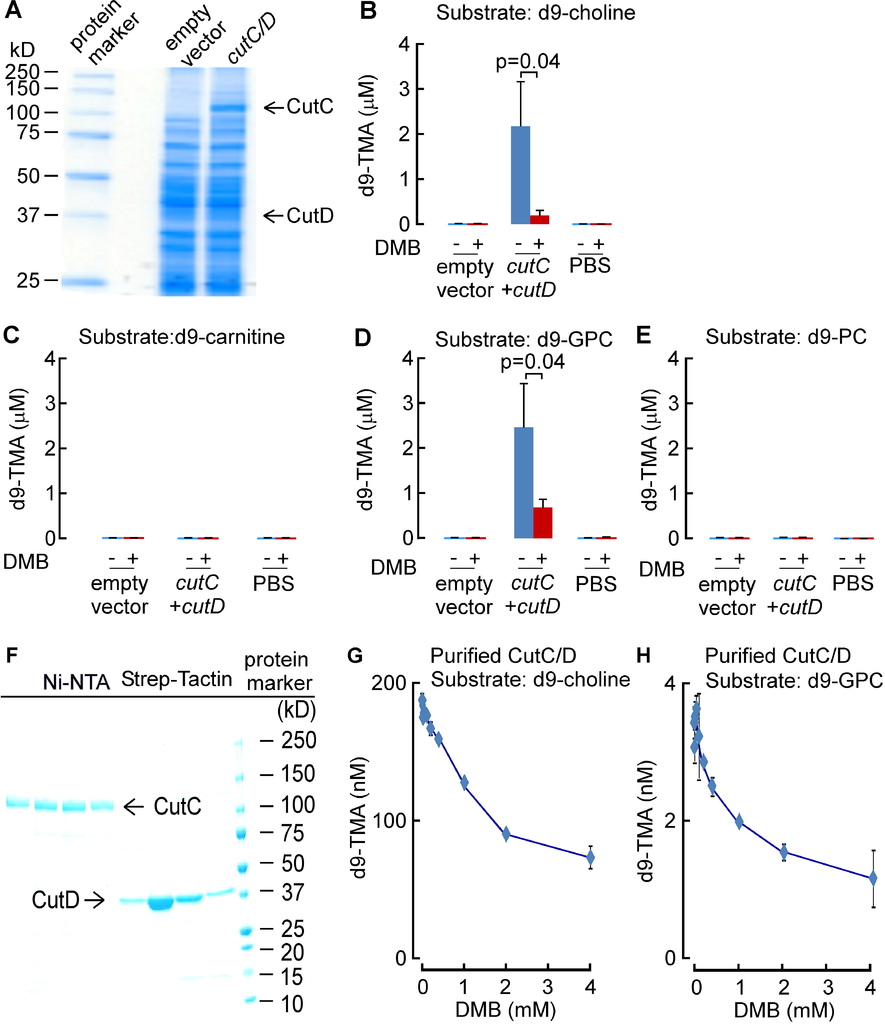 NIHMS744064-supplement-2.jpg NIHMS744064-supplement-2.jpg