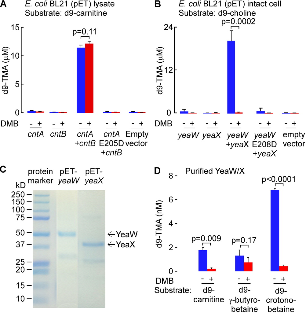 NIHMS744064-supplement-3.jpg NIHMS744064-supplement-3.jpg