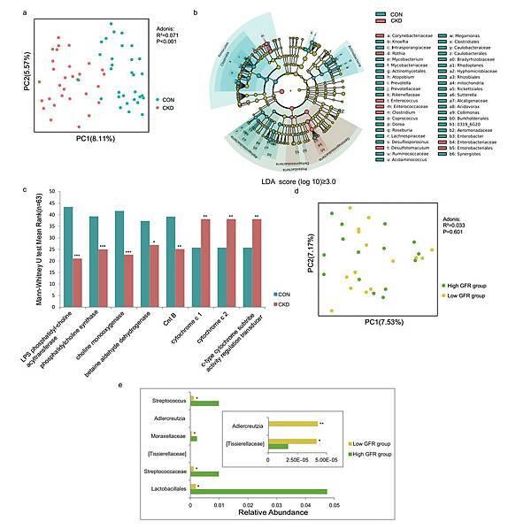 Impaired renal function and dysbiosis of gut microbiota contribute to increased trimethylamine-N-oxide in chronic kidney disease patients_頁面_06.jpg