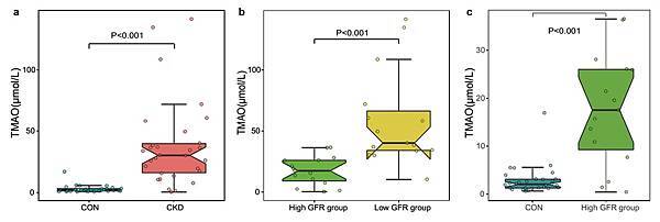 Impaired renal function and dysbiosis of gut microbiota contribute to increased trimethylamine-N-oxide in chronic kidney disease patients_頁面_05 - 複製.jpg