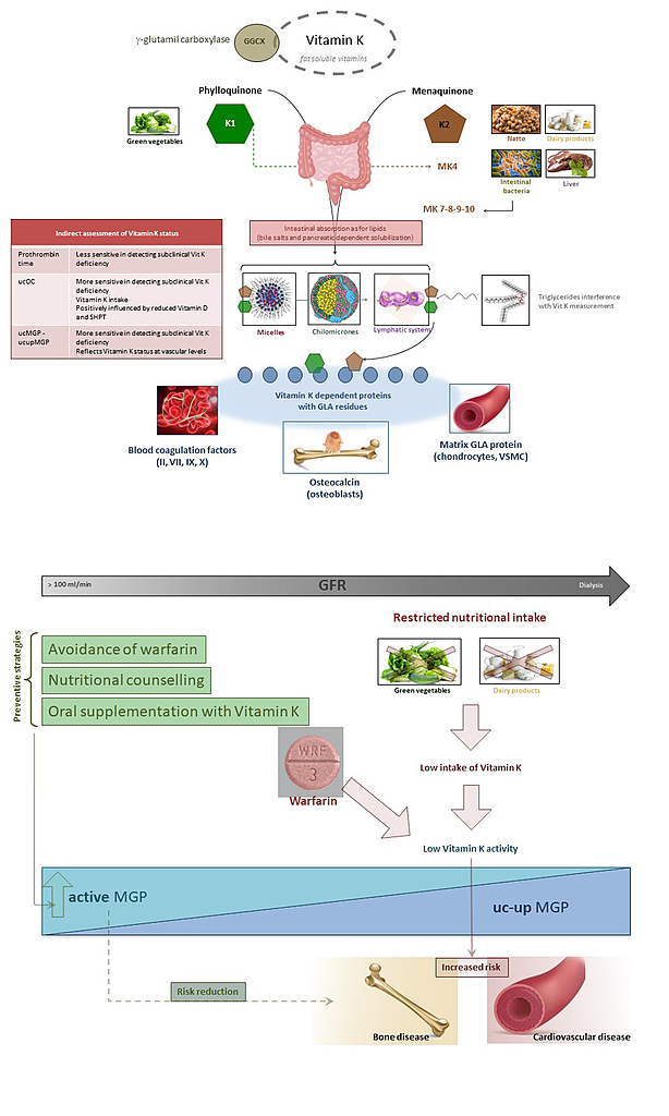 nutrients-11-00168-ag.png