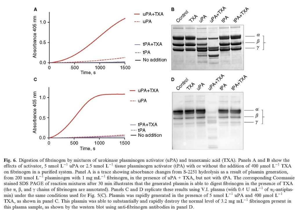 Increased urokinase and consumption of α2‐antiplasmin as an explanation for the loss of benefit of tranexamic acid after treatment delay_頁面_09.jpg