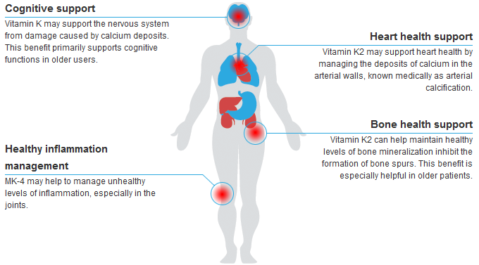 vitamin-k2-benefits-diagram.png