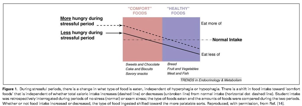 Stress-induced obesity and the emotional nervous system_頁面_2.jpg