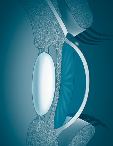 截圖 2020-05-16 07.52.30.png 截圖 2020-05-16 07.52.30.png