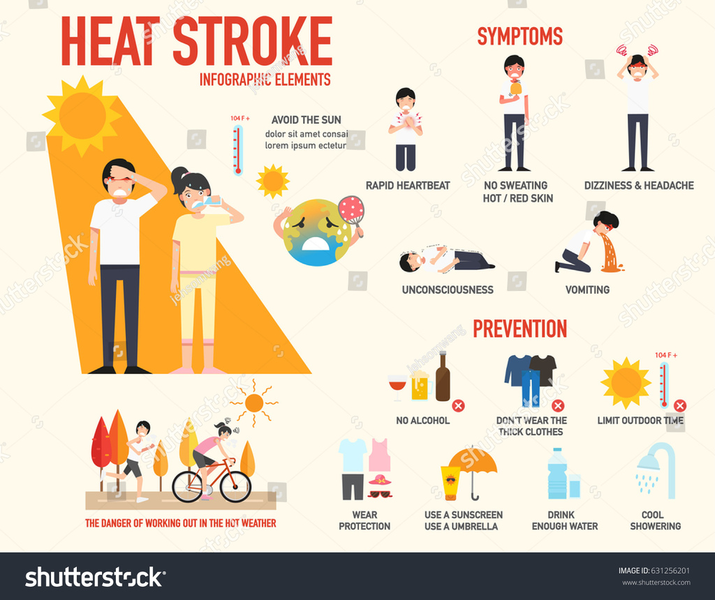 stock-vector-heat-stroke-risk-sign-and-symptom-and-prevention-infographic-vector-illustration-631256201.jpg