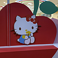 IMG_5769.png