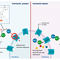 scipharm-88-00036-g001.png