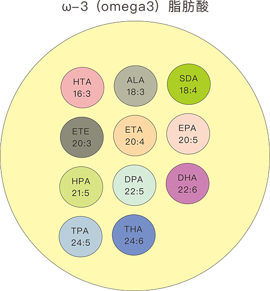 omega脂肪酸種類.png