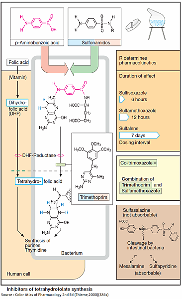 [好站推薦] Manual of Medicine