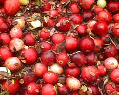 canning-cranberry-juice-pic.jpg