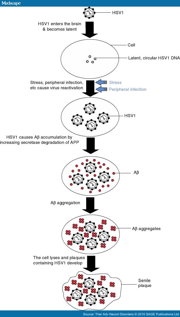 729391-fig2.jpg