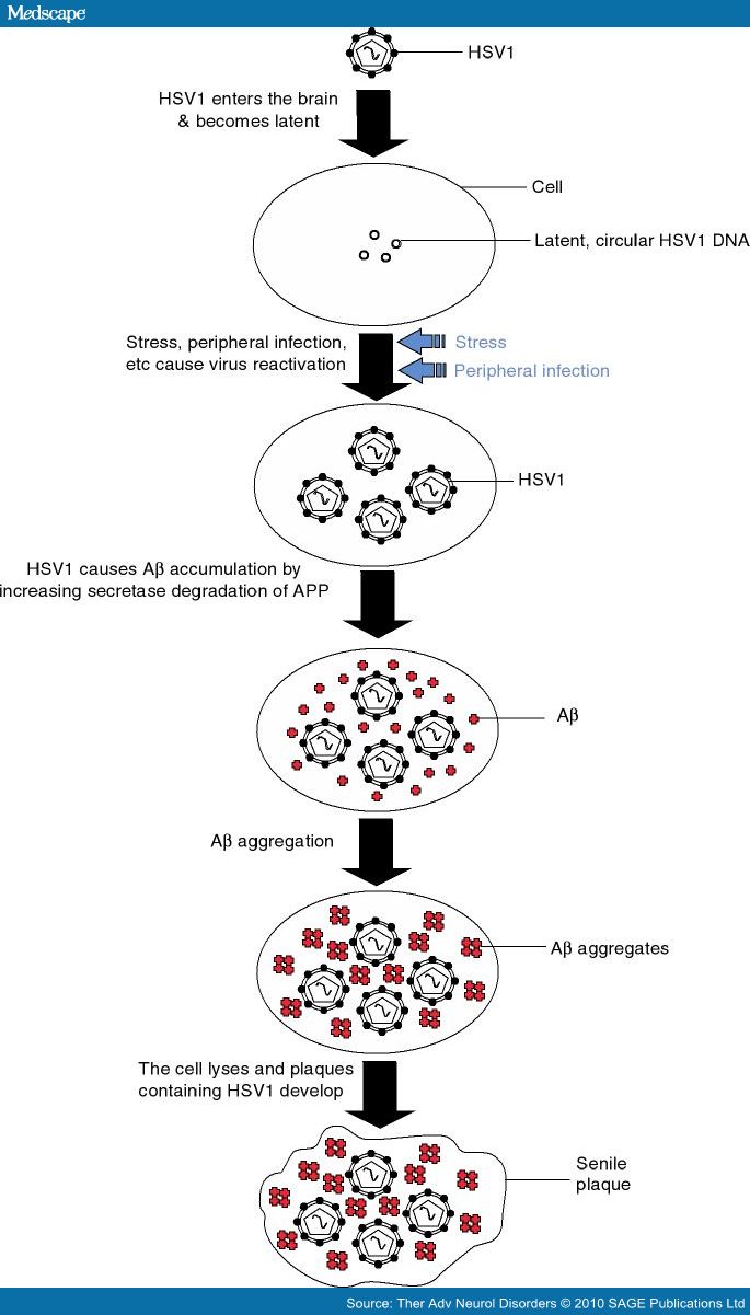 729391-fig2.jpg