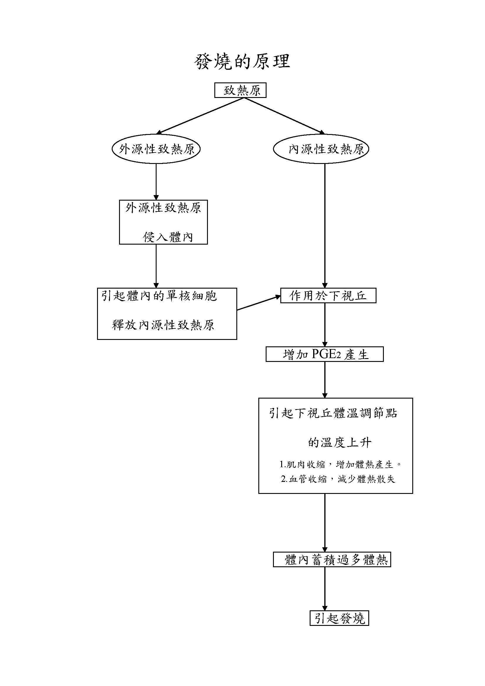 發燒的原理